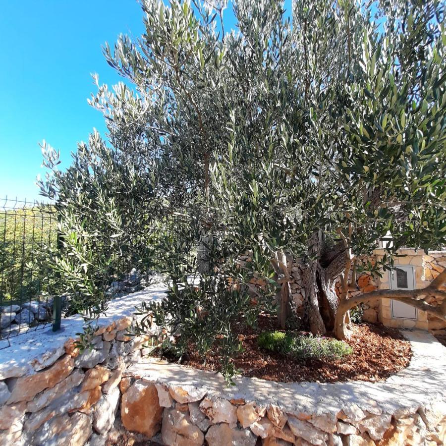 Kuca Za Odmor Bozena Holiday home *